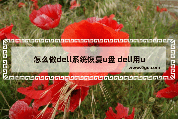 怎么做dell系统恢复u盘 dell用u盘恢复原装系统
