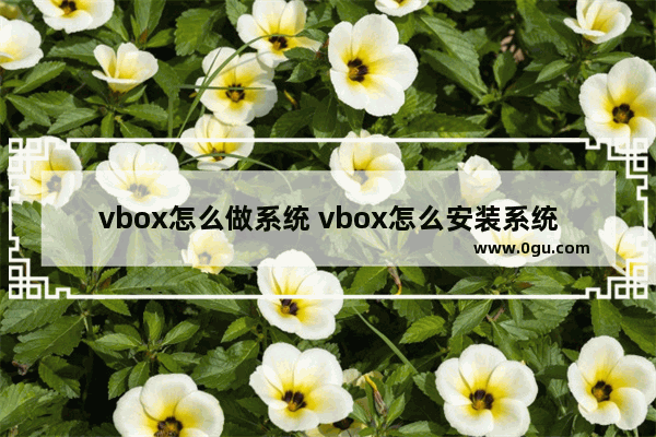 vbox怎么做系统 vbox怎么安装系统
