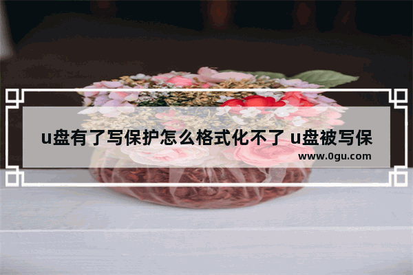 u盘有了写保护怎么格式化不了 u盘被写保护无法格式化,u盘保护怎么去掉