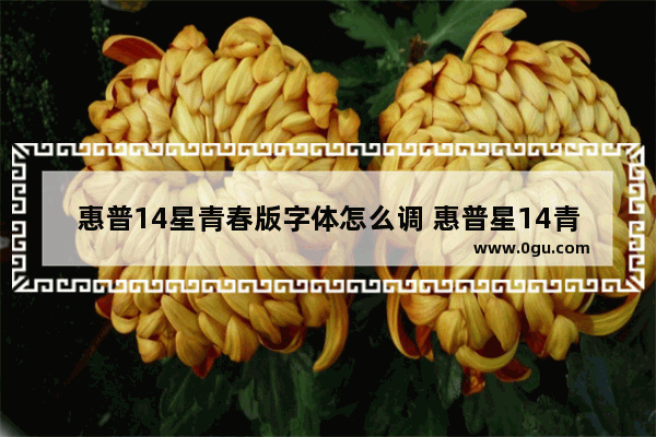 惠普14星青春版字体怎么调 惠普星14青春版怎么设置指纹