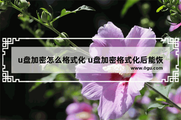 u盘加密怎么格式化 u盘加密格式化后能恢复原来文件嘛