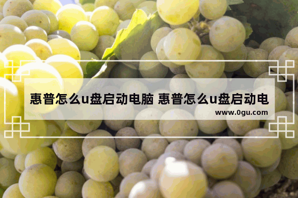 惠普怎么u盘启动电脑 惠普怎么u盘启动电脑软件