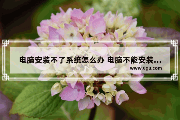 电脑安装不了系统怎么办 电脑不能安装系统怎么办