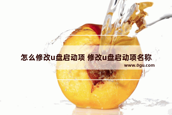 怎么修改u盘启动项 修改u盘启动项名称