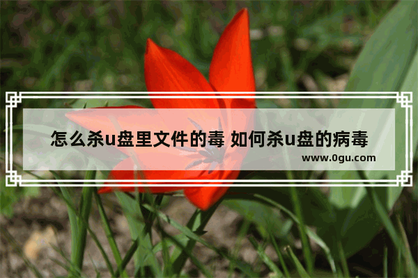 怎么杀u盘里文件的毒 如何杀u盘的病毒