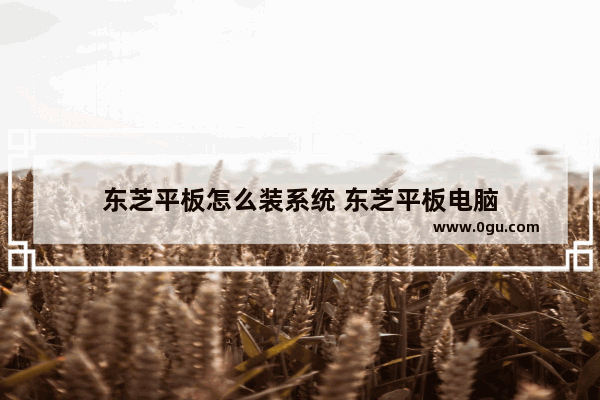 东芝平板怎么装系统 东芝平板电脑