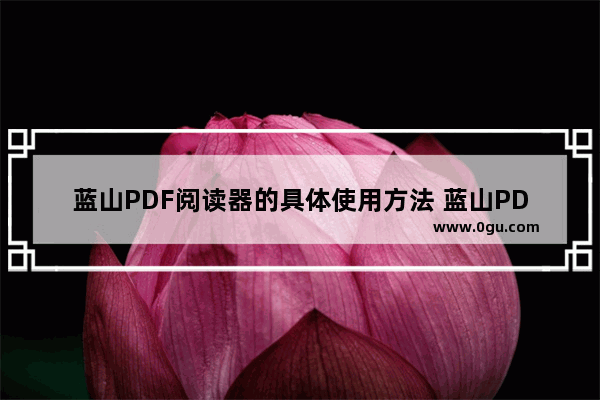 蓝山PDF阅读器的具体使用方法 蓝山PDF阅读器如何使用