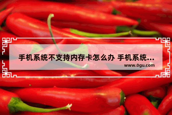 手机系统不支持内存卡怎么办 手机系统不支持内存卡怎么办呢