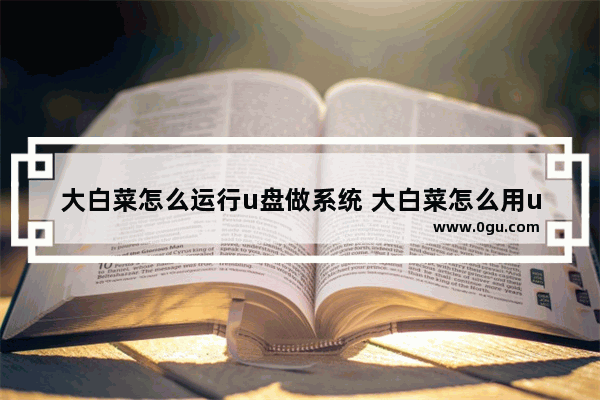 大白菜怎么运行u盘做系统 大白菜怎么用u盘重装系统