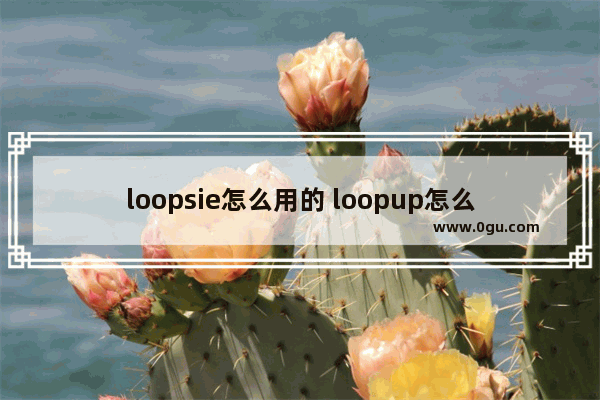 loopsie怎么用的 loopup怎么用