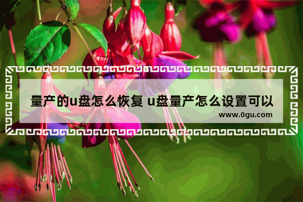 量产的u盘怎么恢复 u盘量产怎么设置可以恢复初始容量