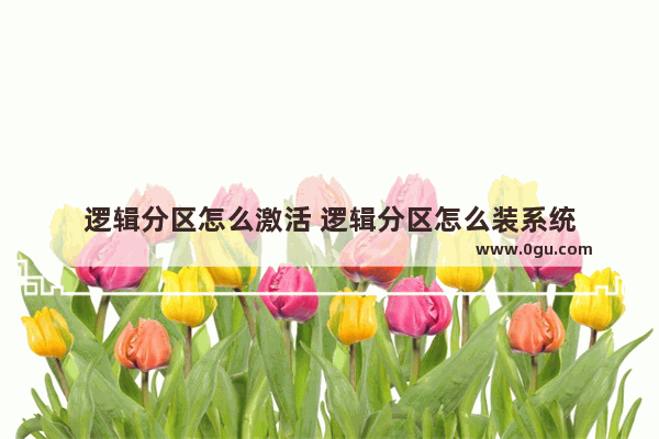 逻辑分区怎么激活 逻辑分区怎么装系统
