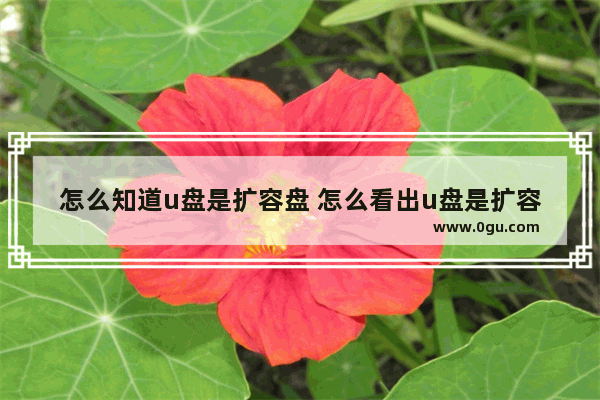 怎么知道u盘是扩容盘 怎么看出u盘是扩容?
