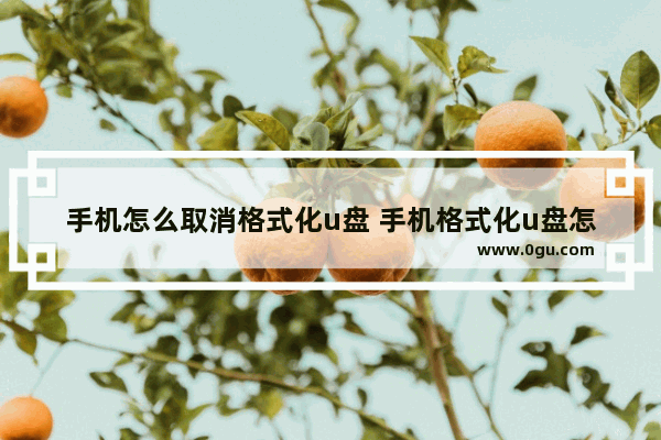手机怎么取消格式化u盘 手机格式化u盘怎么办