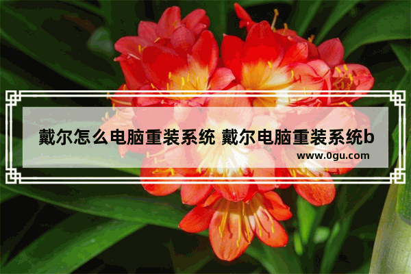 戴尔怎么电脑重装系统 戴尔电脑重装系统boot怎么设置
