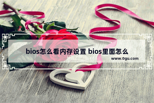 bios怎么看内存设置 bios里面怎么看内存