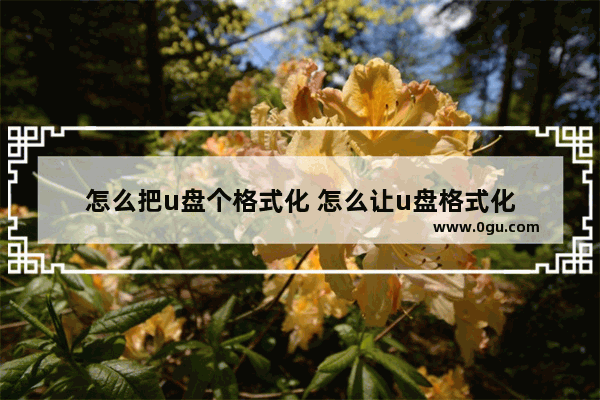 怎么把u盘个格式化 怎么让u盘格式化