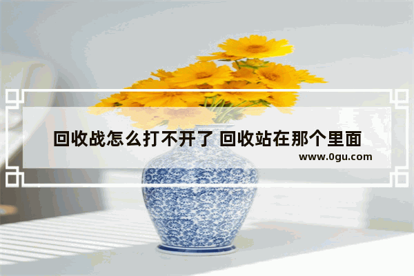 回收战怎么打不开了 回收站在那个里面