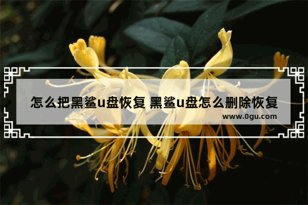 怎么把黑鲨u盘恢复 黑鲨u盘怎么删除恢复普通u盘