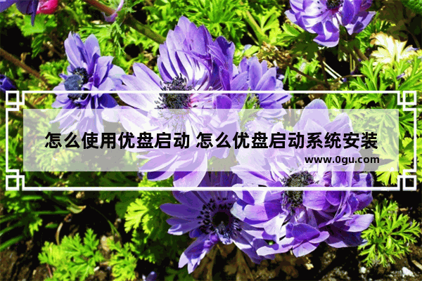 怎么使用优盘启动 怎么优盘启动系统安装