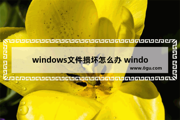 windows文件损坏怎么办 windows10文件损坏