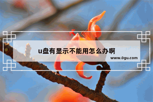u盘有显示不能用怎么办啊