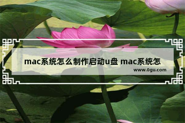 mac系统怎么制作启动u盘 mac系统怎么制作启动u盘文件