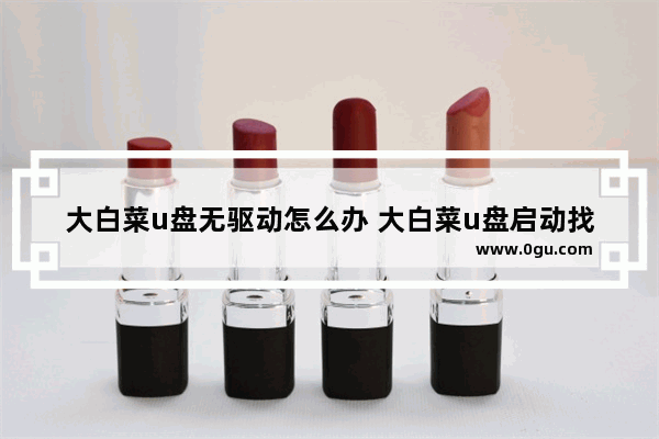 大白菜u盘无驱动怎么办 大白菜u盘启动找不到u盘