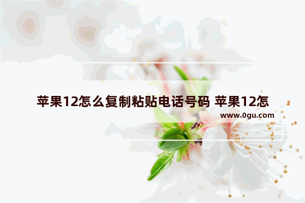 苹果12怎么复制粘贴电话号码 苹果12怎么粘贴号码拨打电话