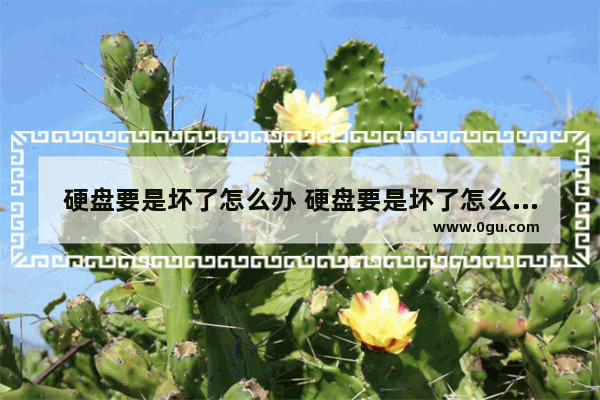 硬盘要是坏了怎么办 硬盘要是坏了怎么办呢