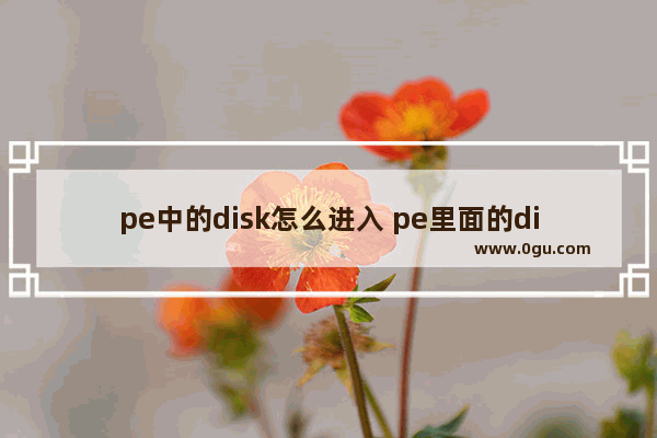 pe中的disk怎么进入 pe里面的disk硬盘设置