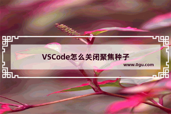VSCode怎么关闭聚焦种子