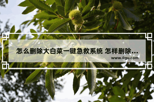 怎么删除大白菜一键急救系统 怎样删除大白菜启动盘