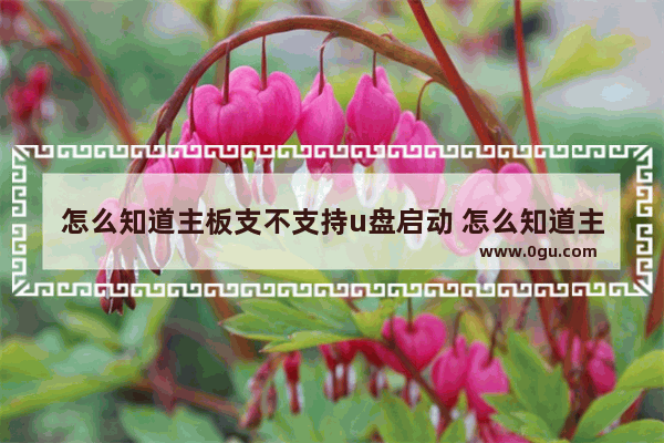 怎么知道主板支不支持u盘启动 怎么知道主板支不支持u盘启动