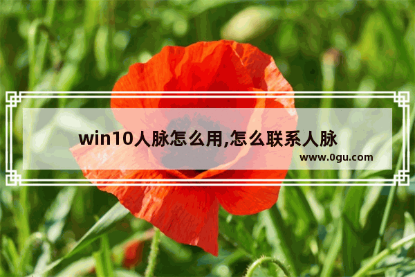 win10人脉怎么用,怎么联系人脉