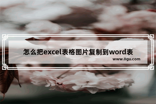 怎么把excel表格图片复制到word表格里,图片表格复制到excel表格