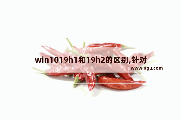 win1019h1和19h2的区别,针对win10的功能更新,版本21H1