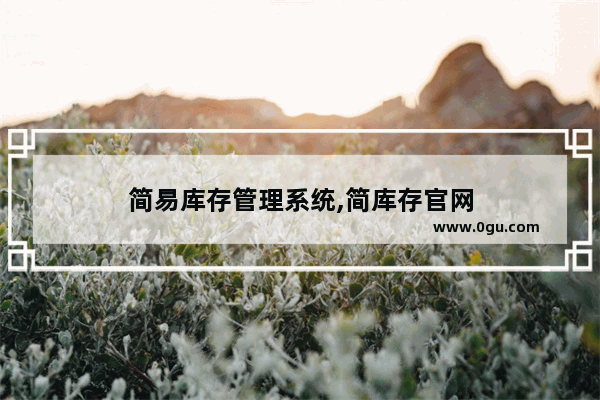 简易库存管理系统,简库存官网