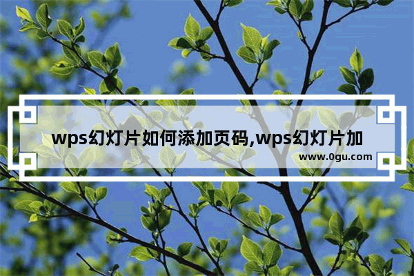 wps幻灯片如何添加页码,wps幻灯片加页码看不见