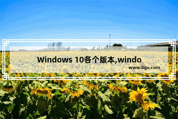 Windows 10各个版本,windows 10 最新版本