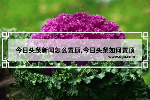 今日头条新闻怎么置顶,今日头条如何置顶