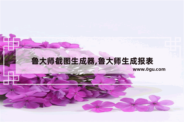 鲁大师截图生成器,鲁大师生成报表