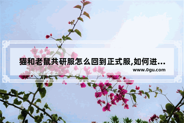猫和老鼠共研服怎么回到正式服,如何进入猫和老鼠的共研服