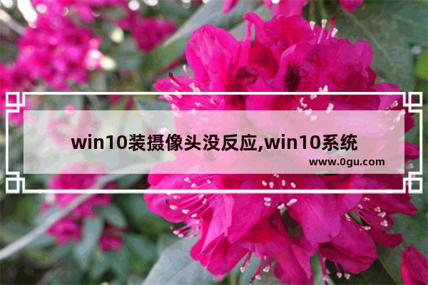 win10装摄像头没反应,win10系统摄像头无法正常开启