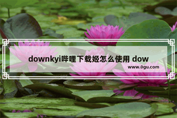 downkyi哔哩下载姬怎么使用 downkyi哔哩下载姬的使用方法