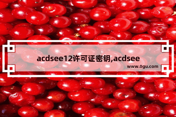 acdsee12许可证密钥,acdsee5.0.1许可证密钥
