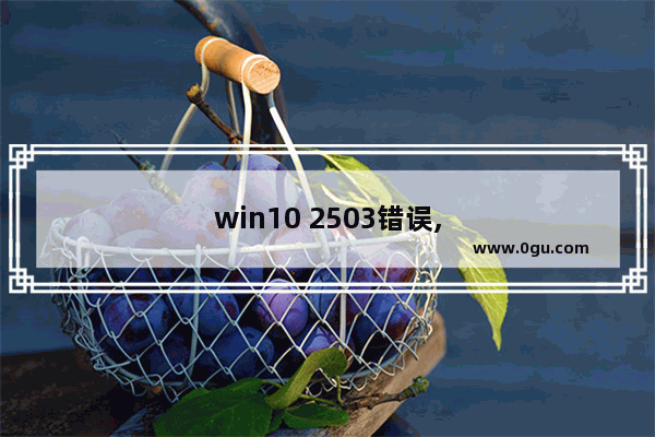 win10 2503错误,