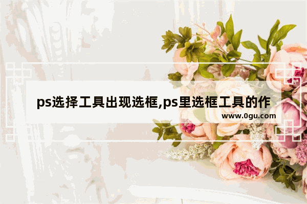 ps选择工具出现选框,ps里选框工具的作用