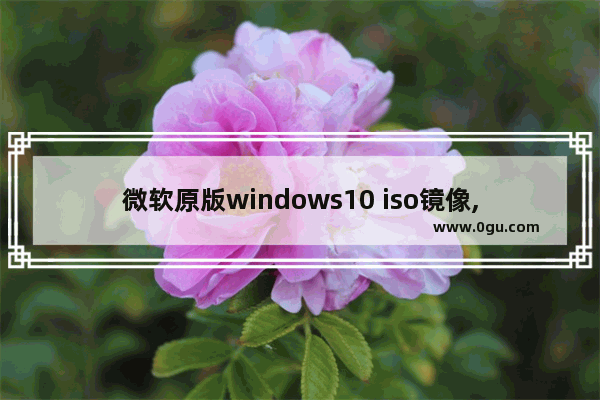 微软原版windows10 iso镜像,windows10专业版iso镜像下载