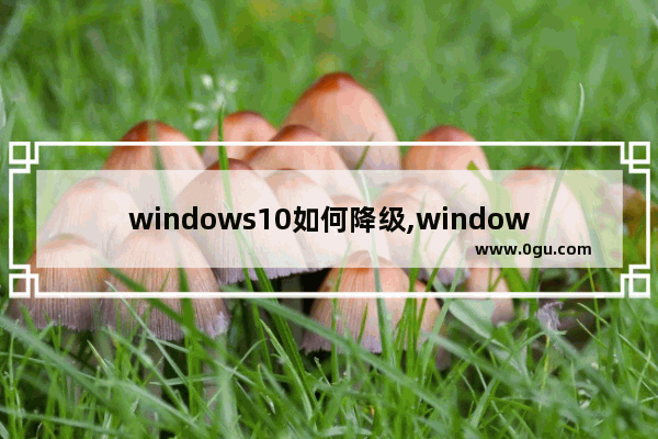 windows10如何降级,windows系统如何降级